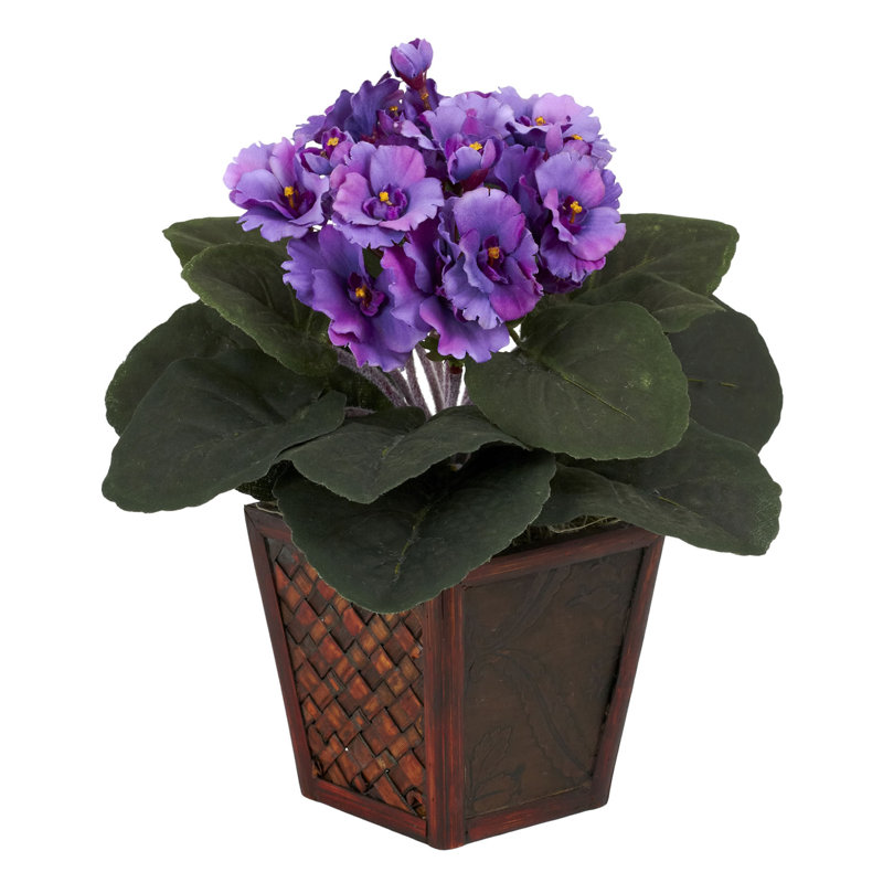 Arrangement floral violet en pot