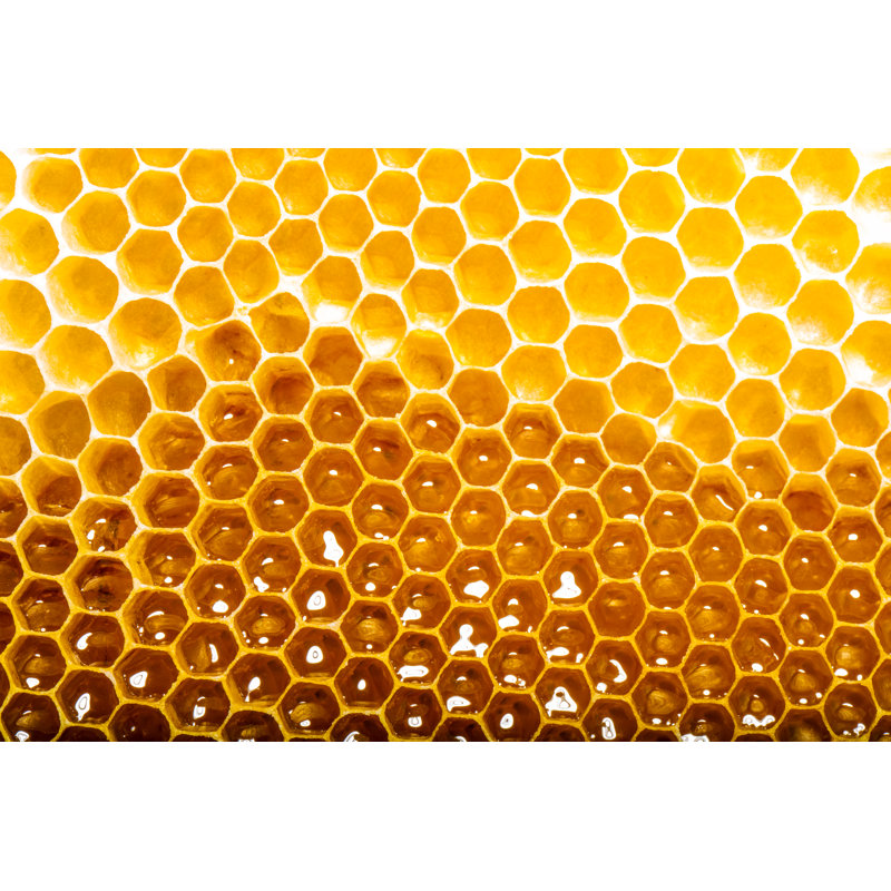 Honeycomb by Smaglov - Wrapped Canvas Print, 30cm H x 46cm W