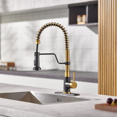 Bolden CASAINC 1.8 GPM Spring Neck Pull Down Kitchen Faucet with Deck Plate