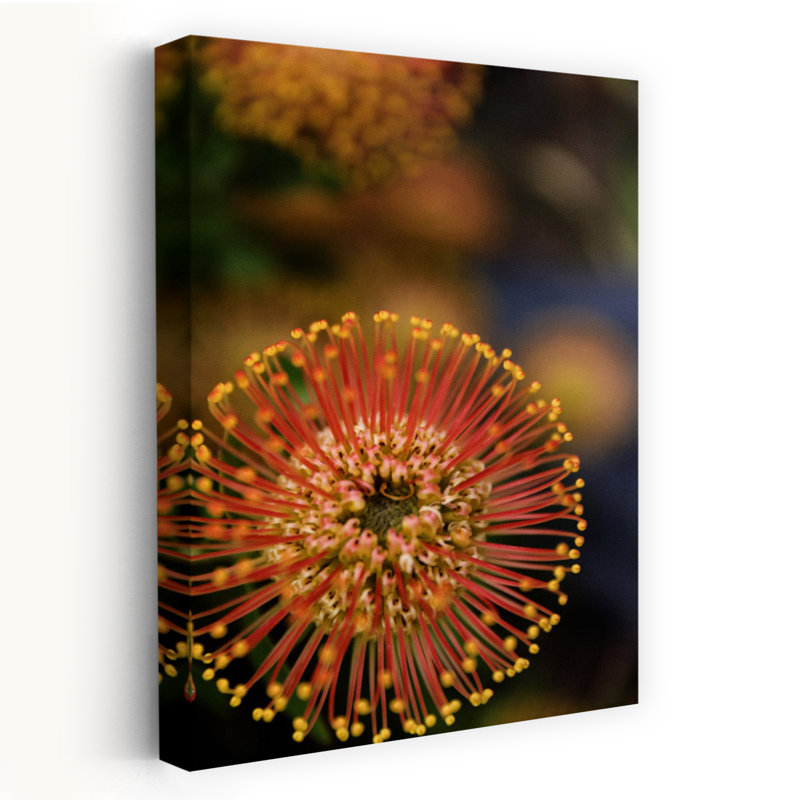Art contemporain abstrait coloré, fleur moderne, art naturel, H 60 po x l 40 po