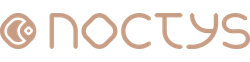Noctys logo