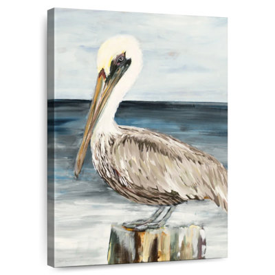 Brampt Muted Perched Pelican