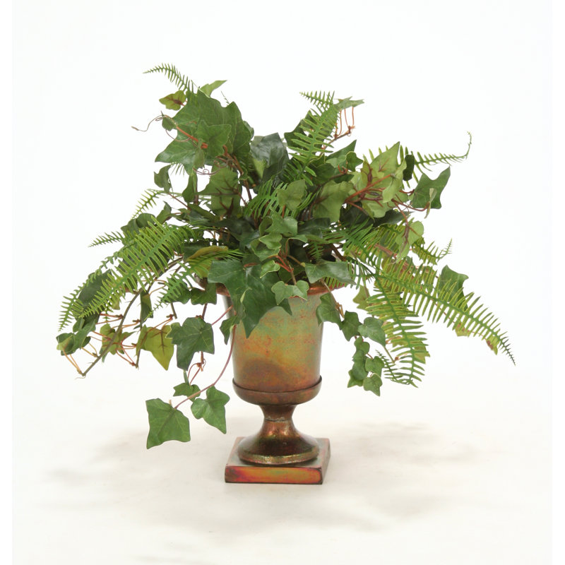Ivy, plante de bureau avec comptoir en urn mountain
