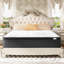 Bosten Brayden Studio Pocket Sprung Mattress-1358906244
