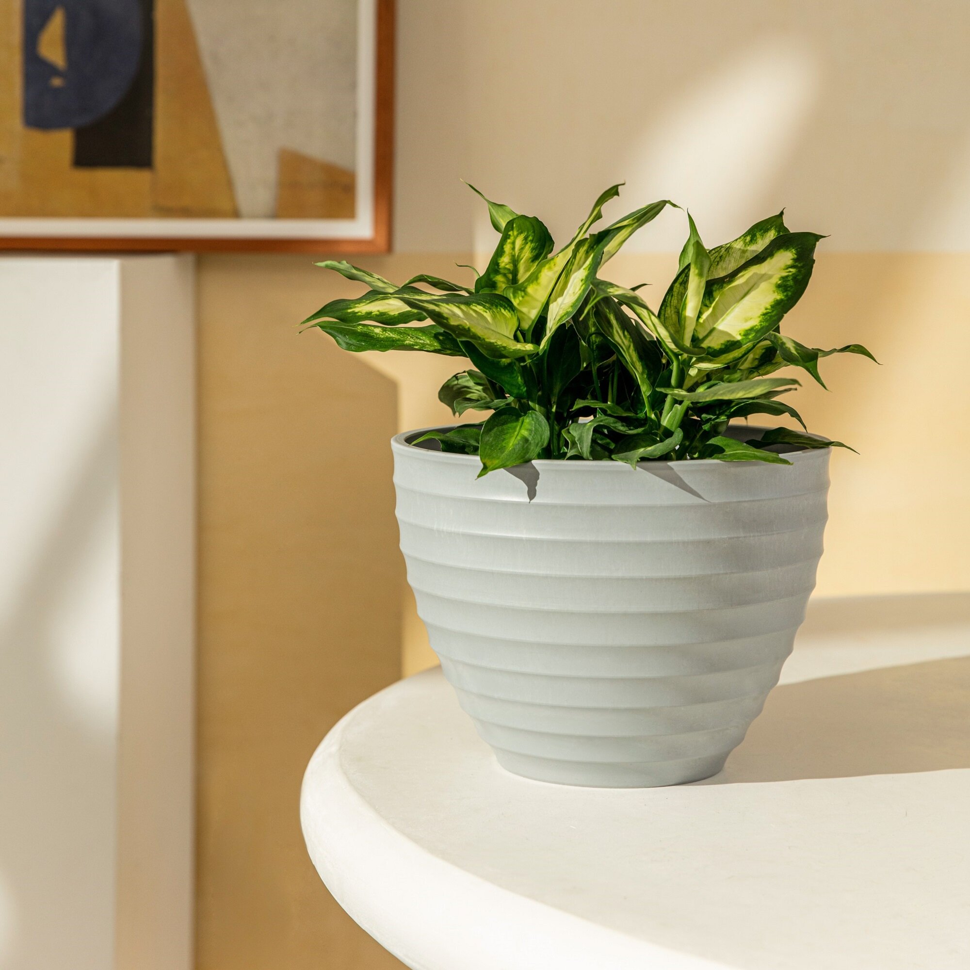 Ebern Designs Rayshun Pot Planter & Reviews | Wayfair