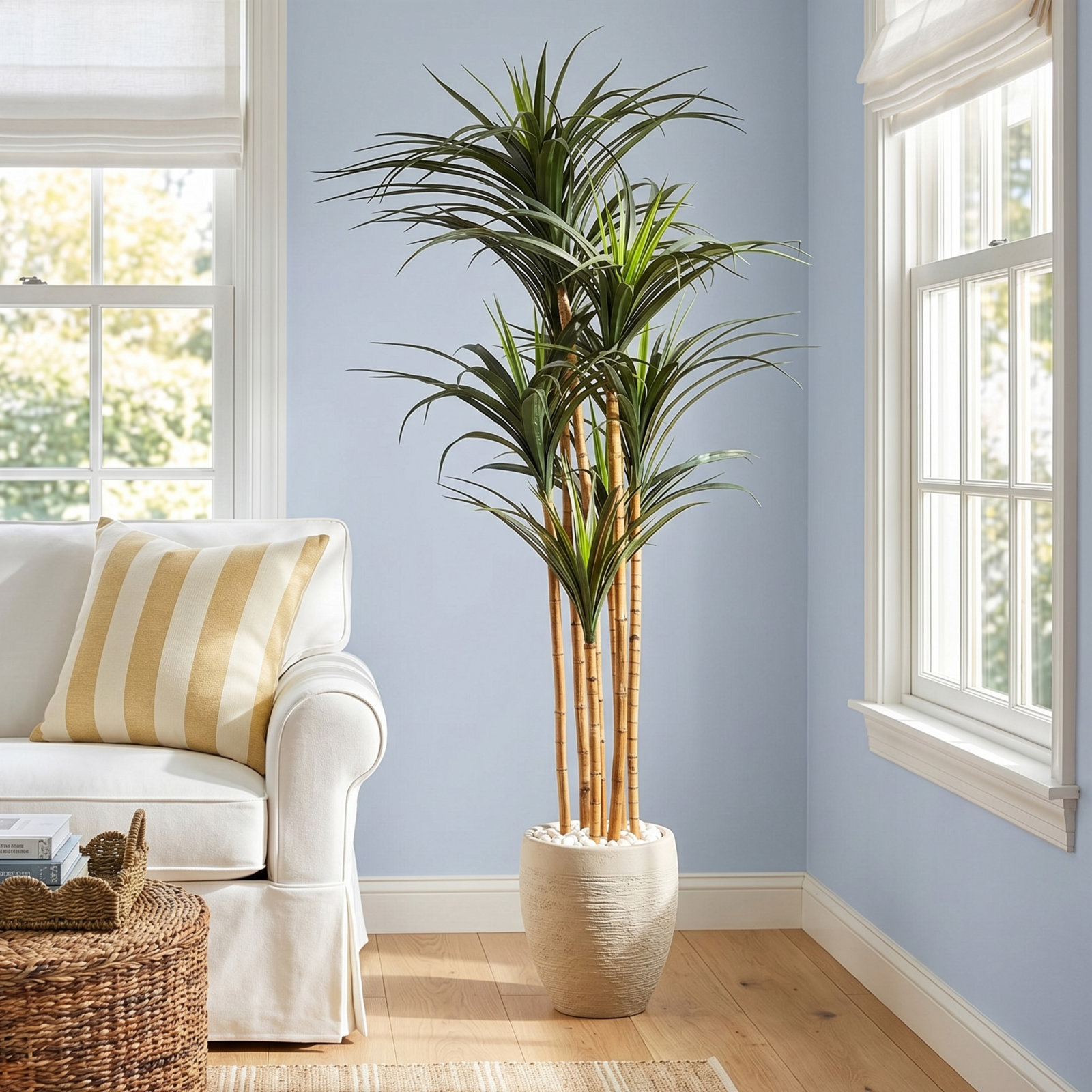 68" Yucca Tree in Pot