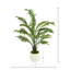 Ridgewood Faux Fern Plant in Fiberstone Planter
