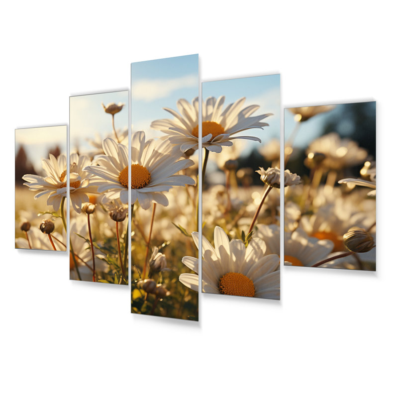 Ensemble de salon White Daisies Field Sunrise I - Floral