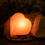 Gerard 5.95 lbs Salt Lamp