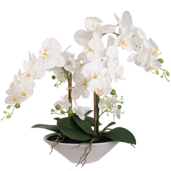 Freeport Park® Silk Orchids Arrangement in Vase & Reviews | Wayfair