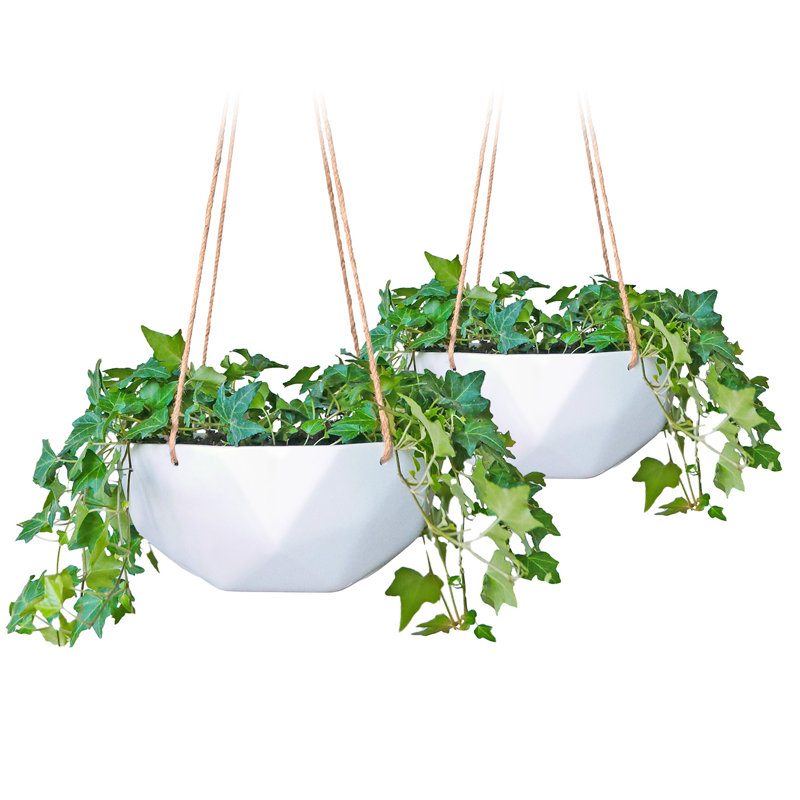 Hanging Planter, 19.5cm H x 27.5cm W x 27.5cm D