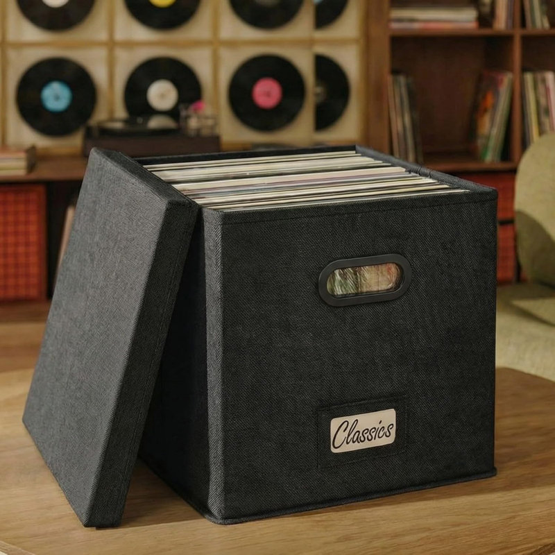 Boîte de rangement décorative en vinyle pour plus de 50 disques simples