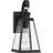 Bednar Wall Light