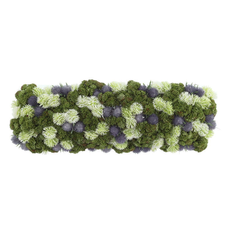 Sedum and Thistle Arranged in Rectangular Planter