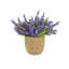 Heather in Strawgrass Pot-1961168782