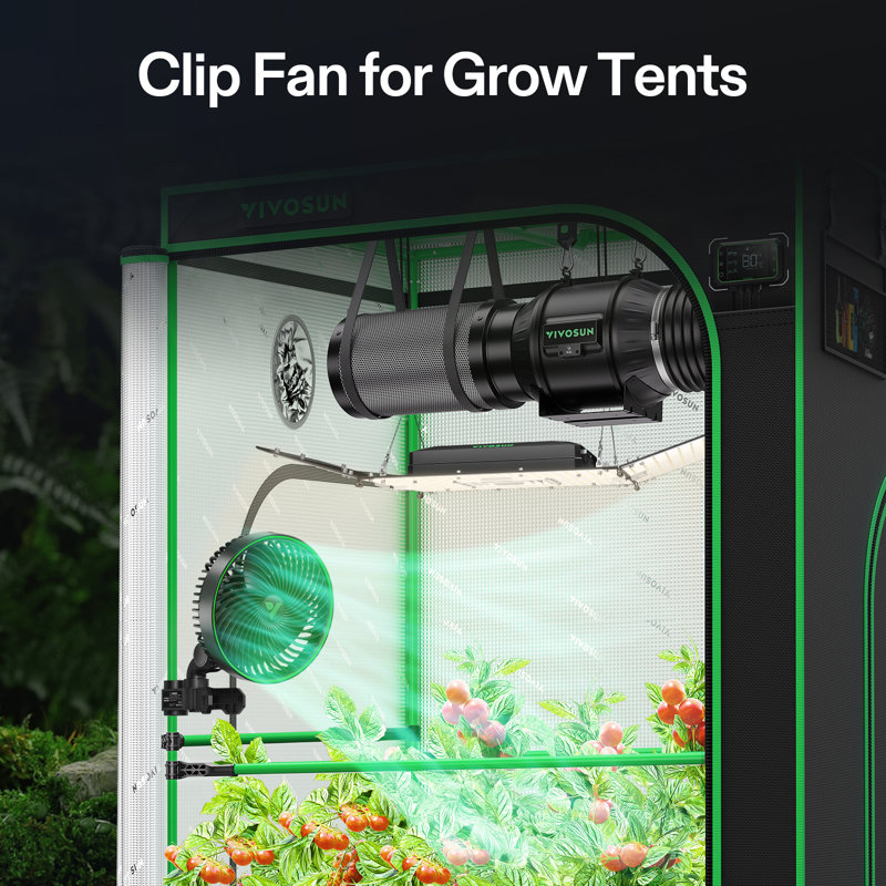 9.88" Oscillating Clip Fan, Black