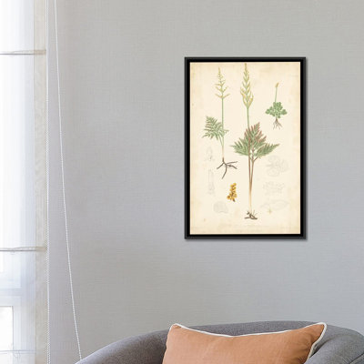 « palm study ii », reproduction d’impression sur toile