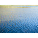 Riverside_4058 Print by Petra Trimmel