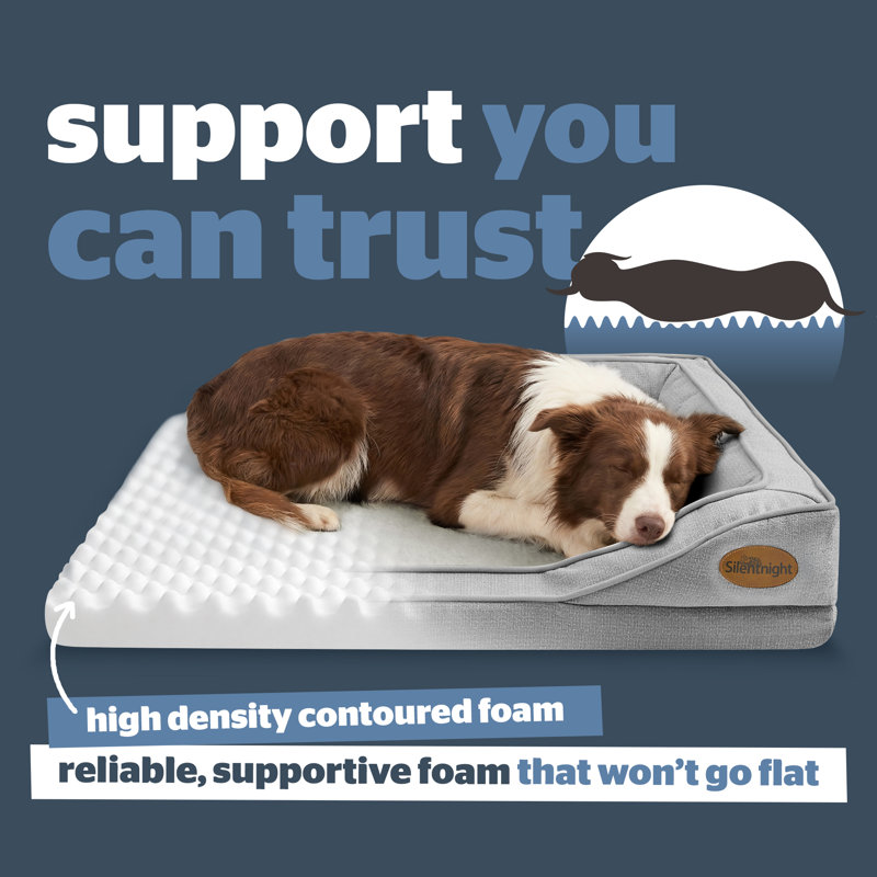 Silentnight Orthopaedic Luxury Pet Bed, 17cm H x 65cm W x 49cm D, Grey