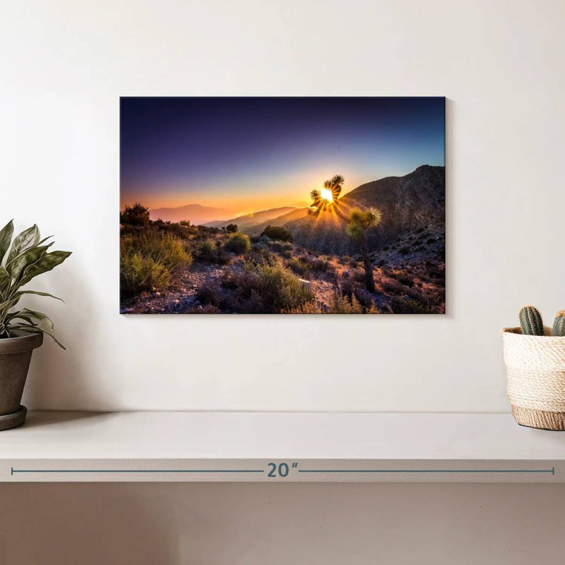 Hannes California Desert Sunrays, H 8 po x l 12 po