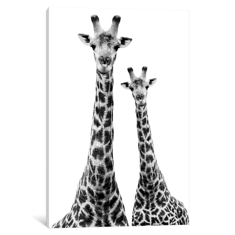 « safari profile series two girafes », reproduction de photo sur toile tendue, H 18 po x l 12 po x p 1,5 po