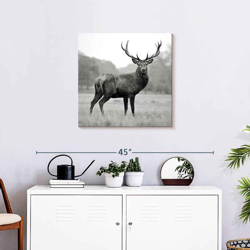 Brampt Proud Deer BW, 24" H x 24" W