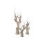 Rafaela Large Flameless/LED Candelabra