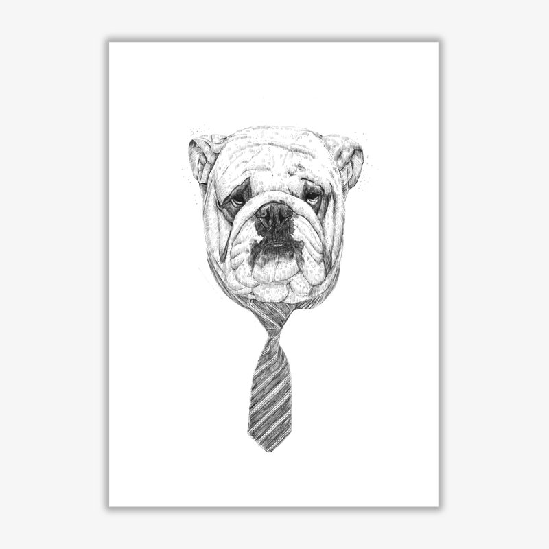 Cool Bulldog by Mercedes Lopes Charro - Print, No Frame, 42 cm H x 29.7 cm W x 1 cm D