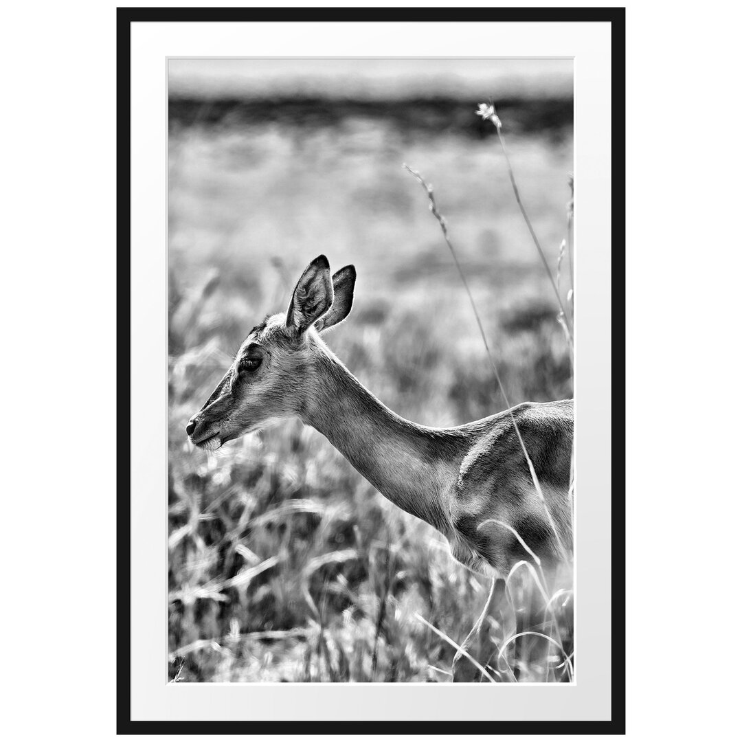 Gerahmter Fotodruck Gazelle in the Tall Grass