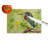 Green Heron Glass Cutting Board