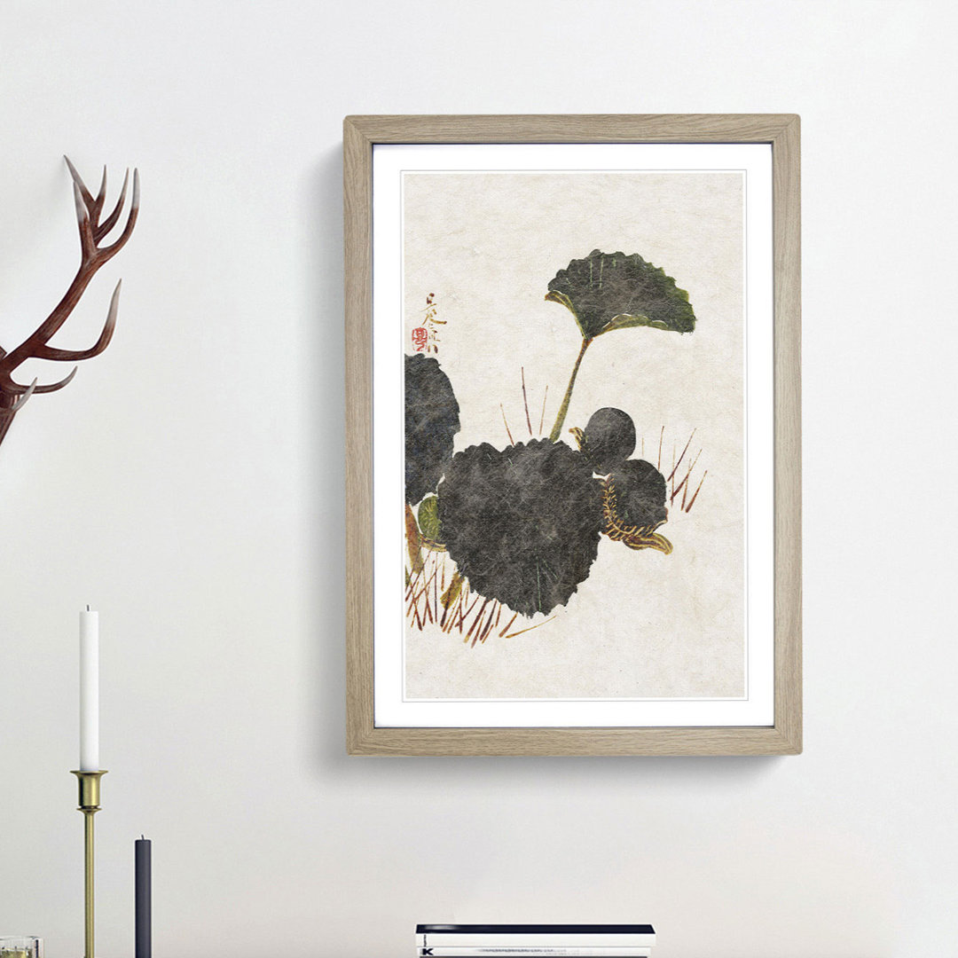 Worm on a Green Leaf by Shibata Zeshin - Framed Print