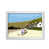 White Framed is out of stock