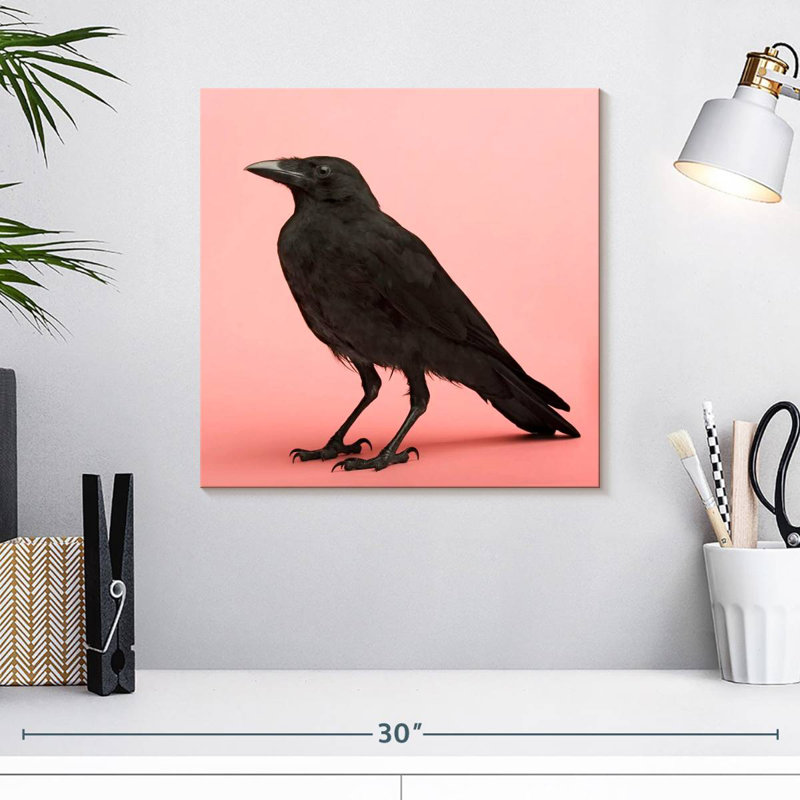 Corbeau noir Crowle, H 16 po x l 16 po