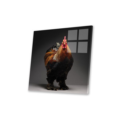 Cochin par CHICken - peinture sans cadre