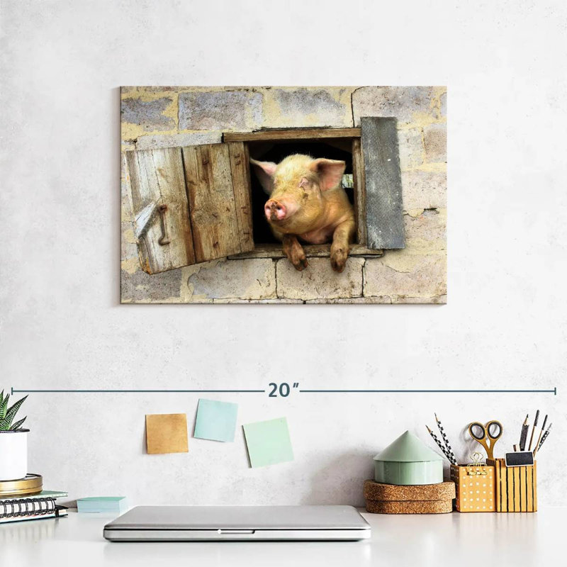 Brampt Smiling Pig, 8" H x 12" W