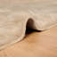 Solid Colour Standard Area Rug-509379262