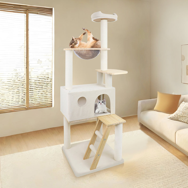 Arbre à chat en bois avec grande échelle en bois et vaisseau transparent 165 cm
