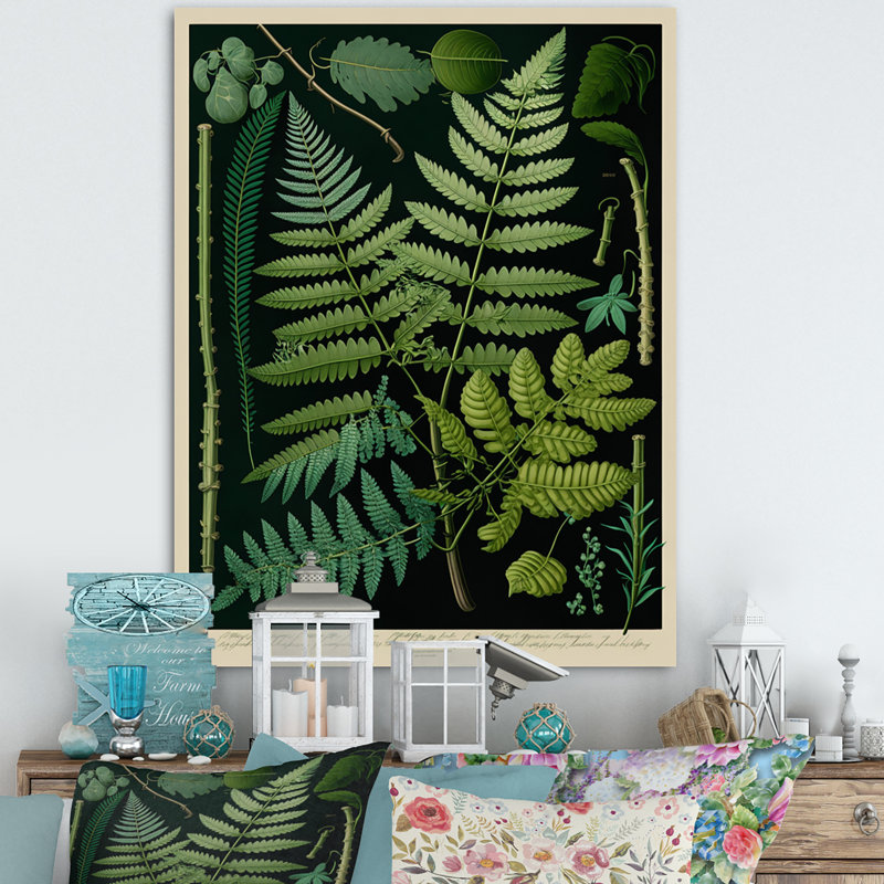 Fougère sur tableau victorien rétro I, art floral sur toile, fougères florales, L 24 po x H 32 po x P 1,5 po, Toile tendue