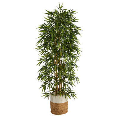 Watts 72'' Faux Bamboo Tree in Cotton Basket