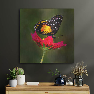«August Monarch Butterfly On Red Flower» par Pamela Plummer, August Grove®, art mural en métal