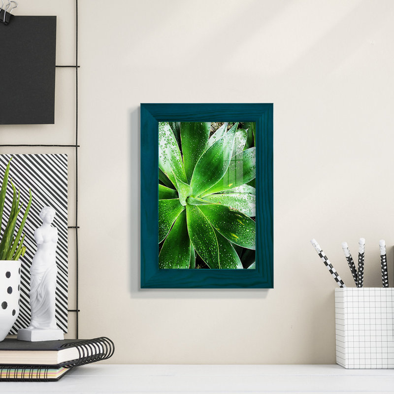 «Green Tropical Succulent V», reproduction de cadre photo simple, H 8 po x l 6 po x P 1 po, Bleu