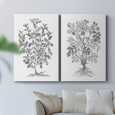 B&W Plant Specimen I-Premium Gallery Wrapped Canvas -Ready to Hang