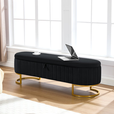 Banc de rangement rembourré en velours avec pieds en fer en forme de fer à cheval pour le salon: solution de bout de lit élégante et fonctionnelle