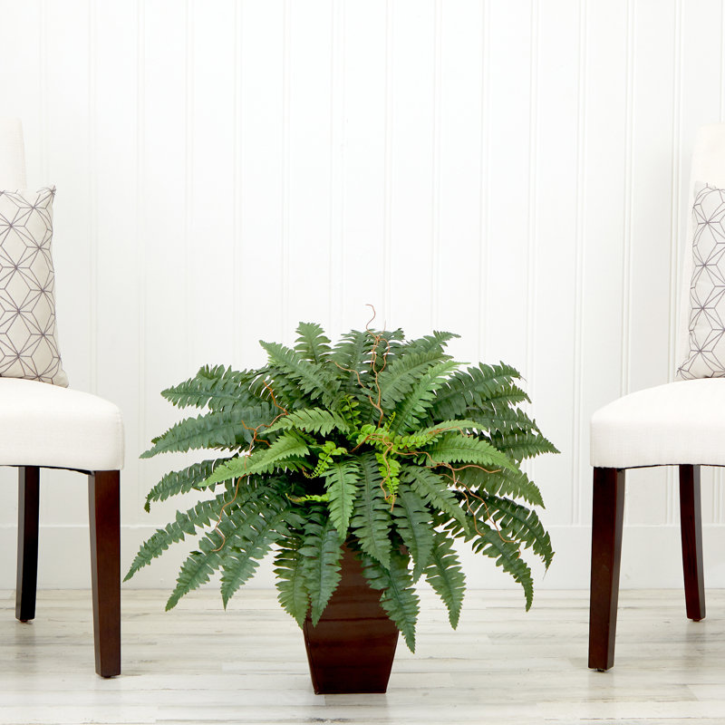 Varner 21 " H Faux Fern Plant