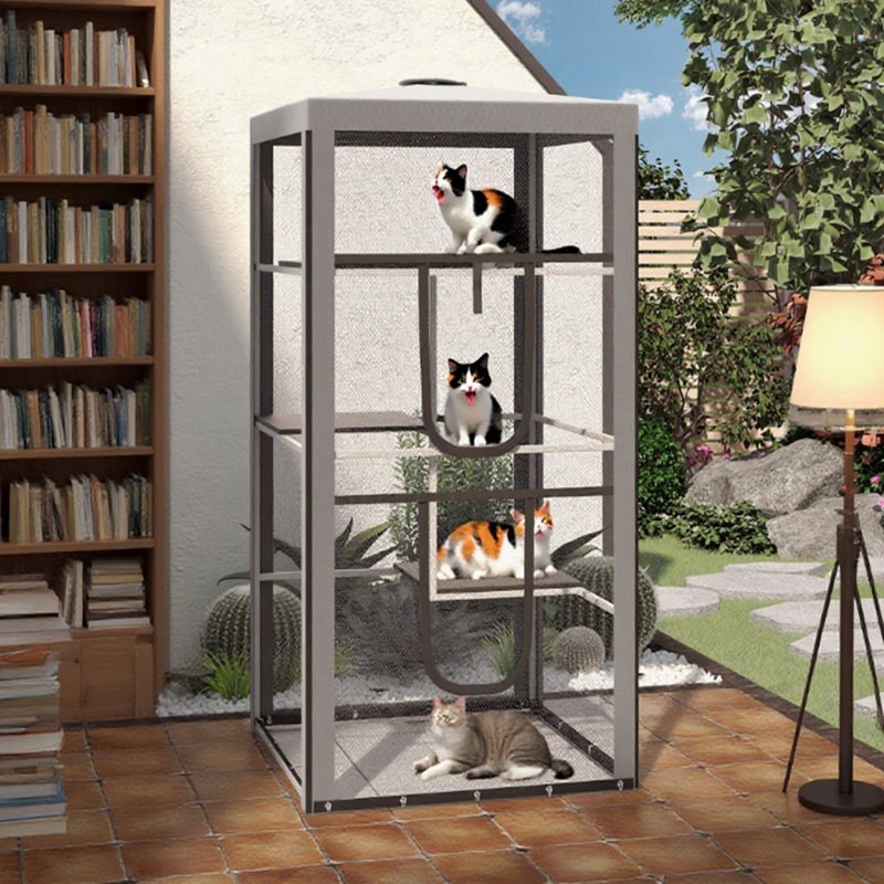 Structure en acier pour chat pour chat