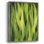 Blades of Grass I, reproduction encadrée - bois massif-960542592