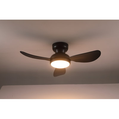 Fan Light