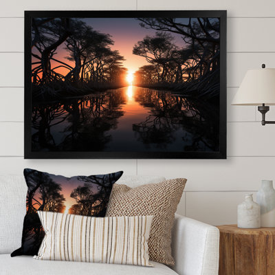 " Florida Mangrove Shadows "