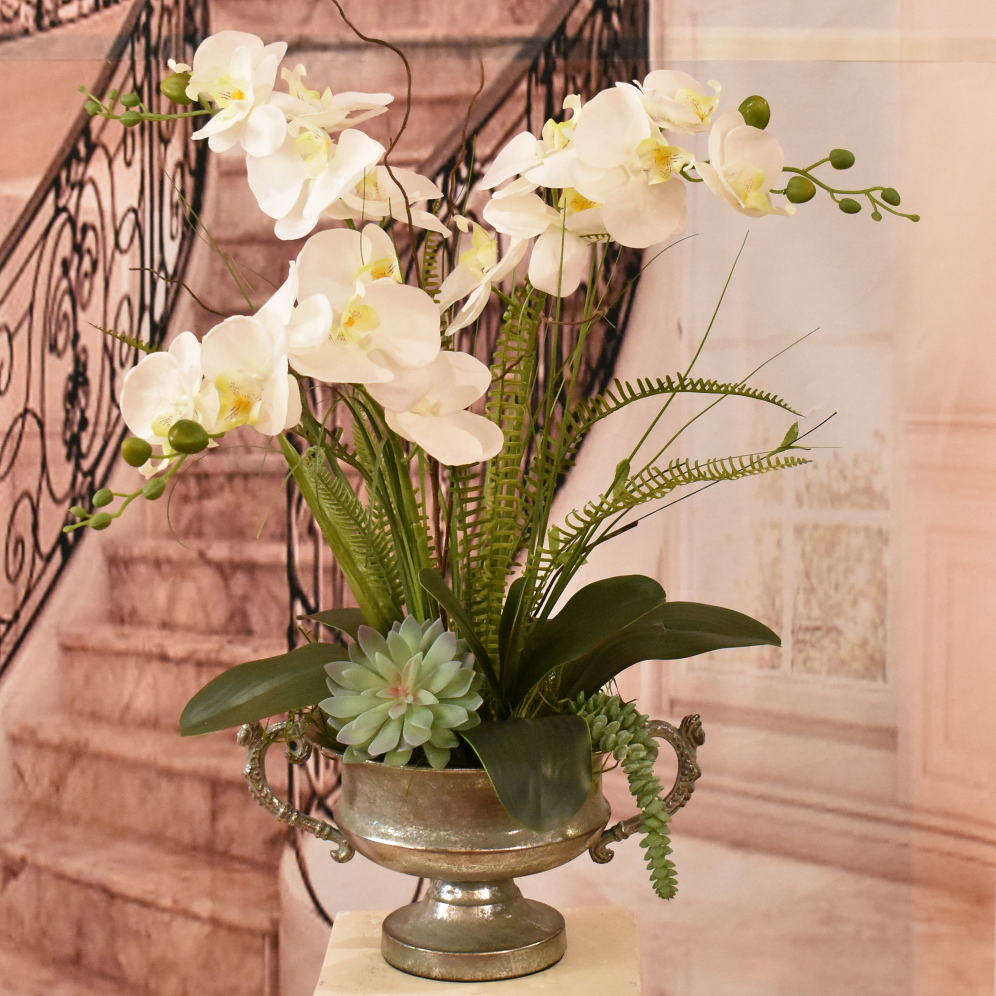 Primrue White Orchid with Succulent Floral Arrangement in Vase | Wayfair