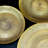 Pyle Gilded Glass Dinnerware-334743174-321316272